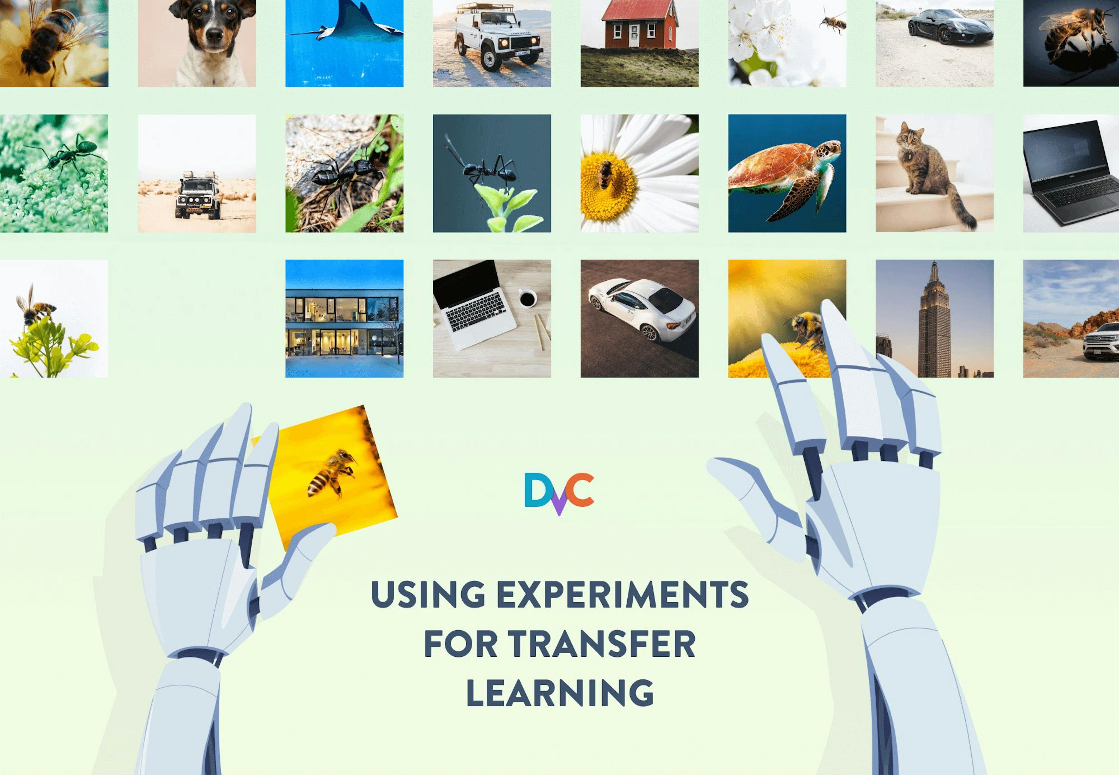 featured image - Fine-Tuning Machine Learning Models with DVC Experiments for Transfer Learning