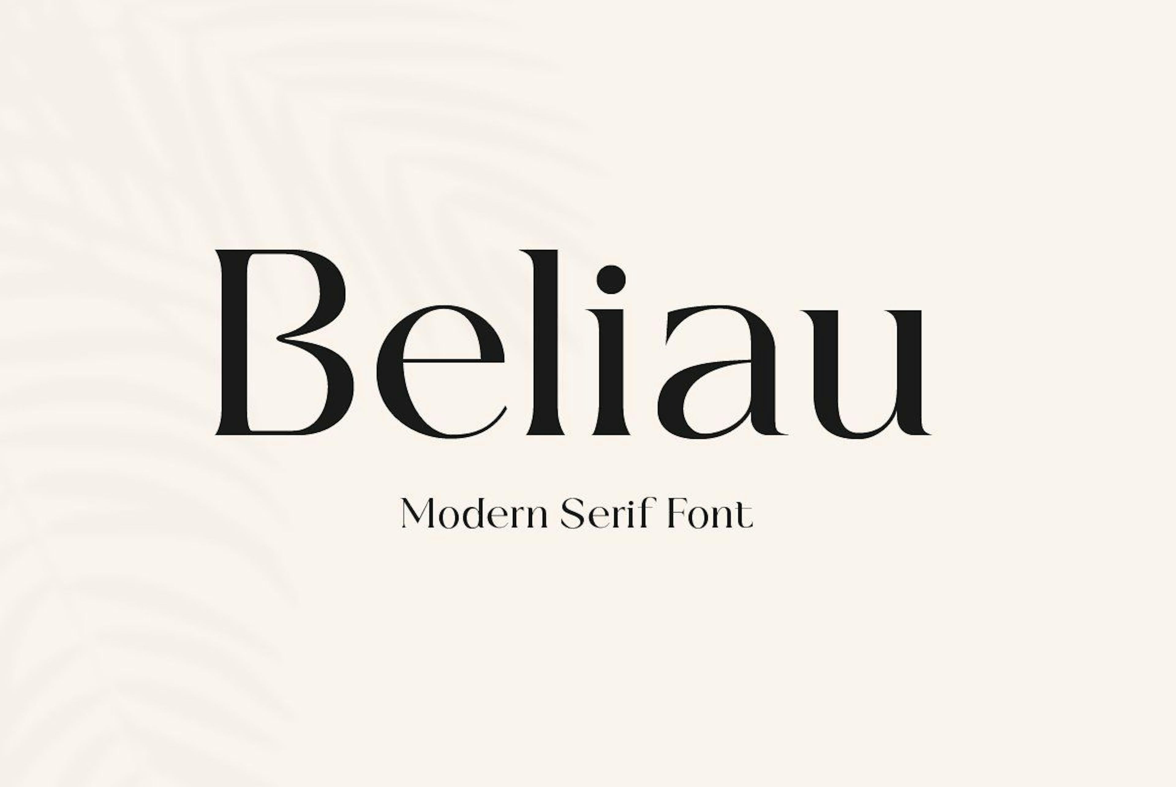 Modern logo with Serif font
