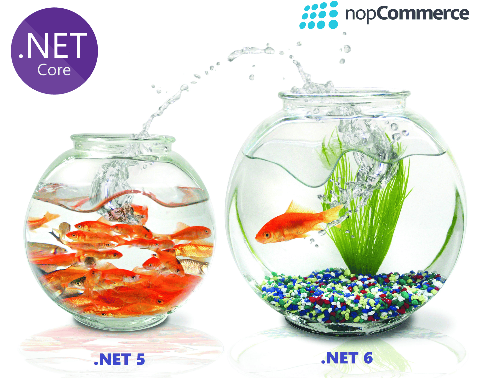 featured image - Measuring Performance After Migration from .NET5 to .NET 6