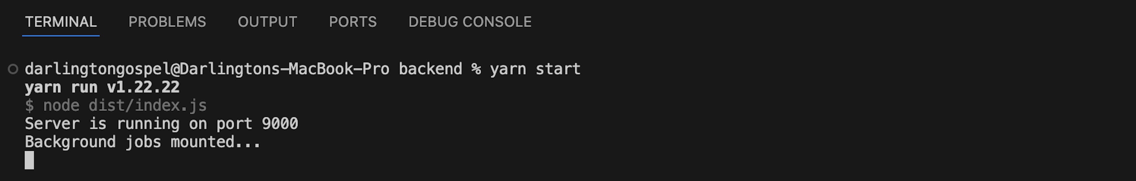 Observe o log do console do serviço em segundo plano