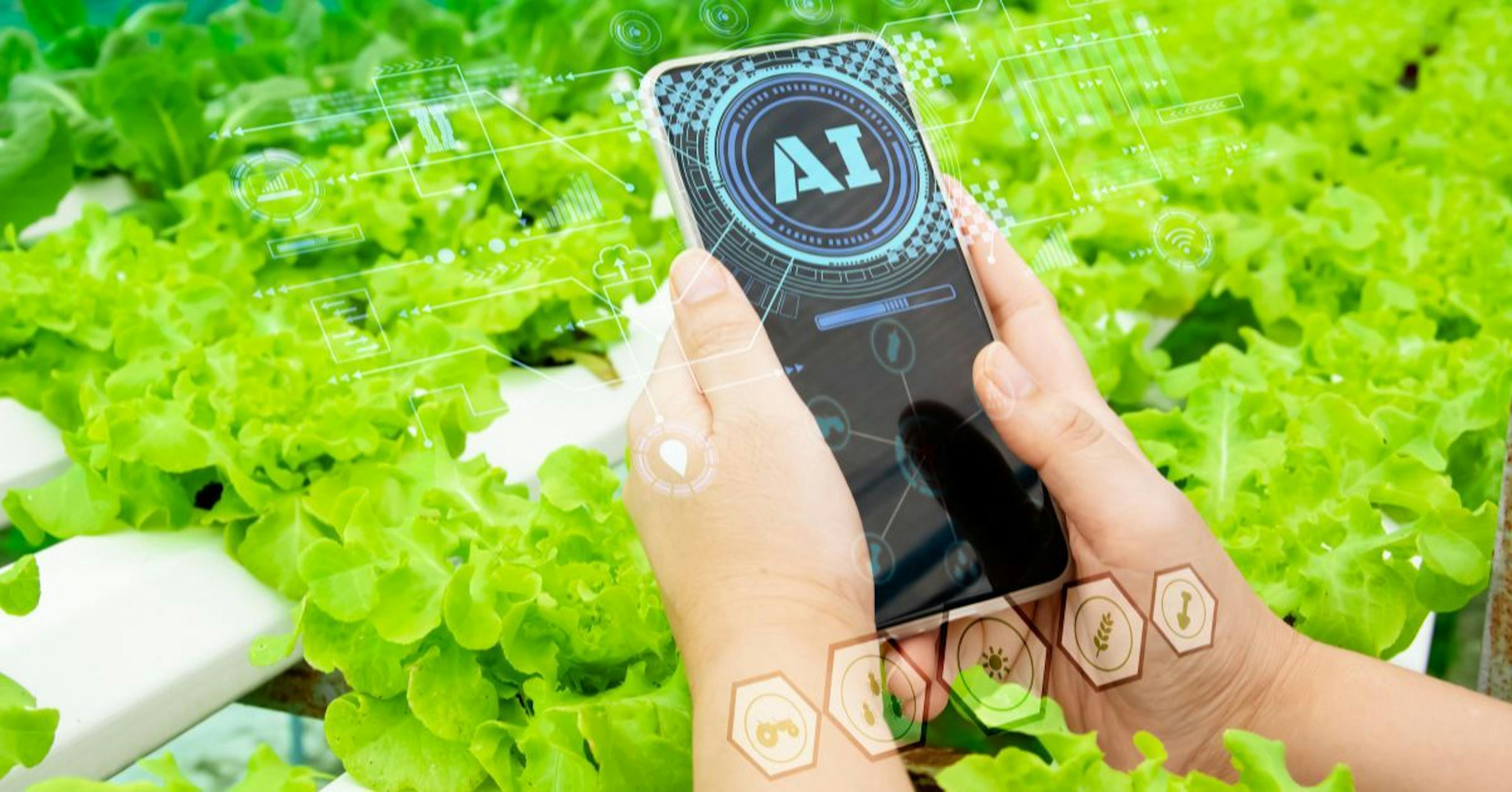 featured image - How Artificial Intelligence Can Help in Agriculture
