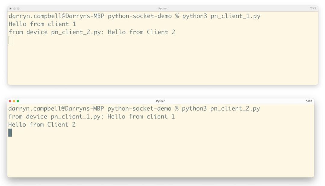 An Essential Guide to Socket Programming in Python: Client, Server, and ...