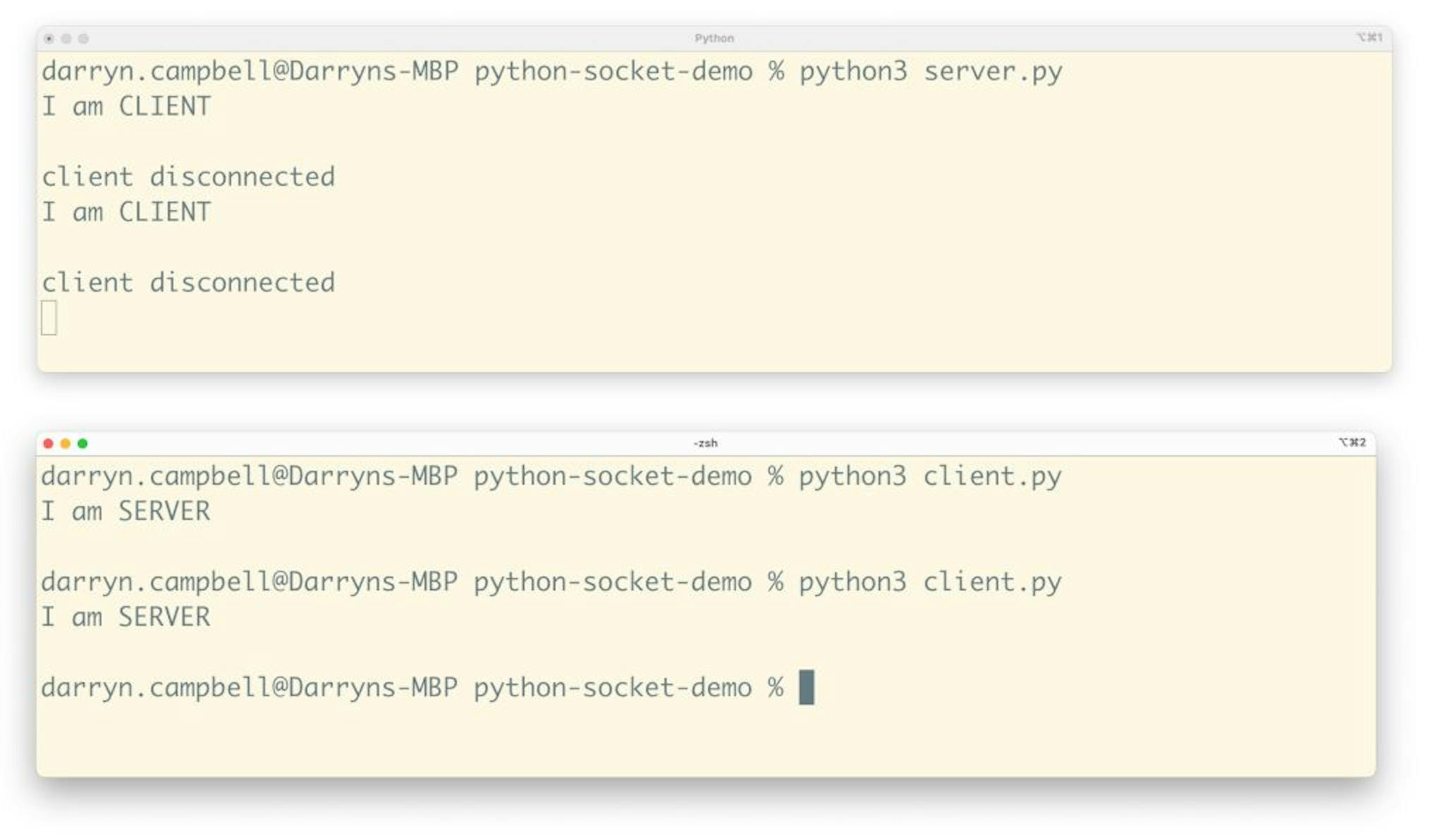 Python socket example