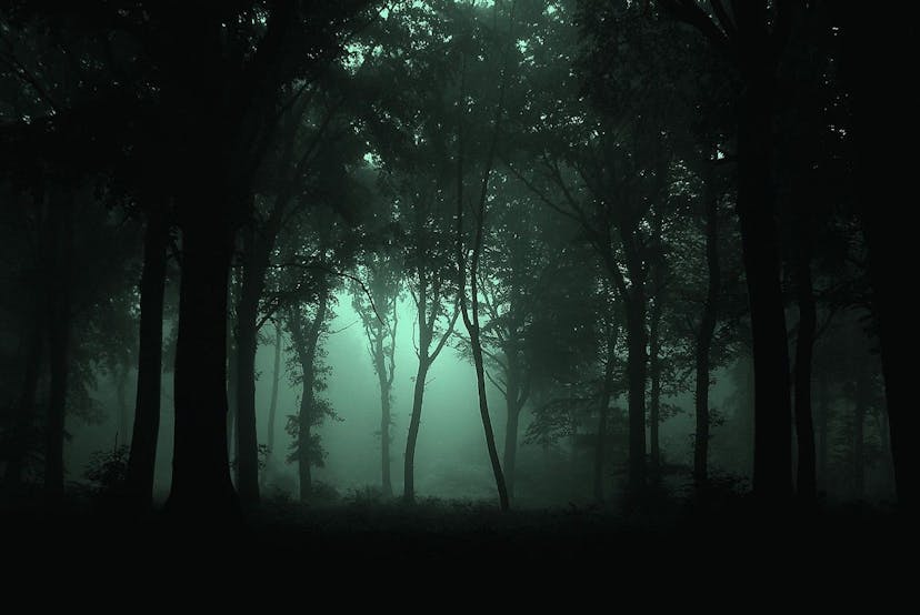 /how-did-we-bypass-the-sweeper-bot-and-saved-$26k-tokens-in-the-dark-forest-of-blockchain feature image