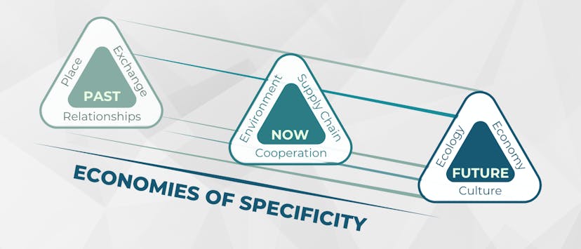 /economies-of-specificity feature image
