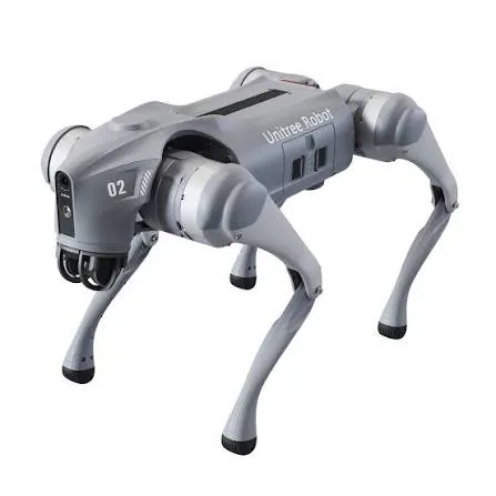 Robot Dogs Are Leaving the Lab: What Quadrupeds Reveal About Embodied AI