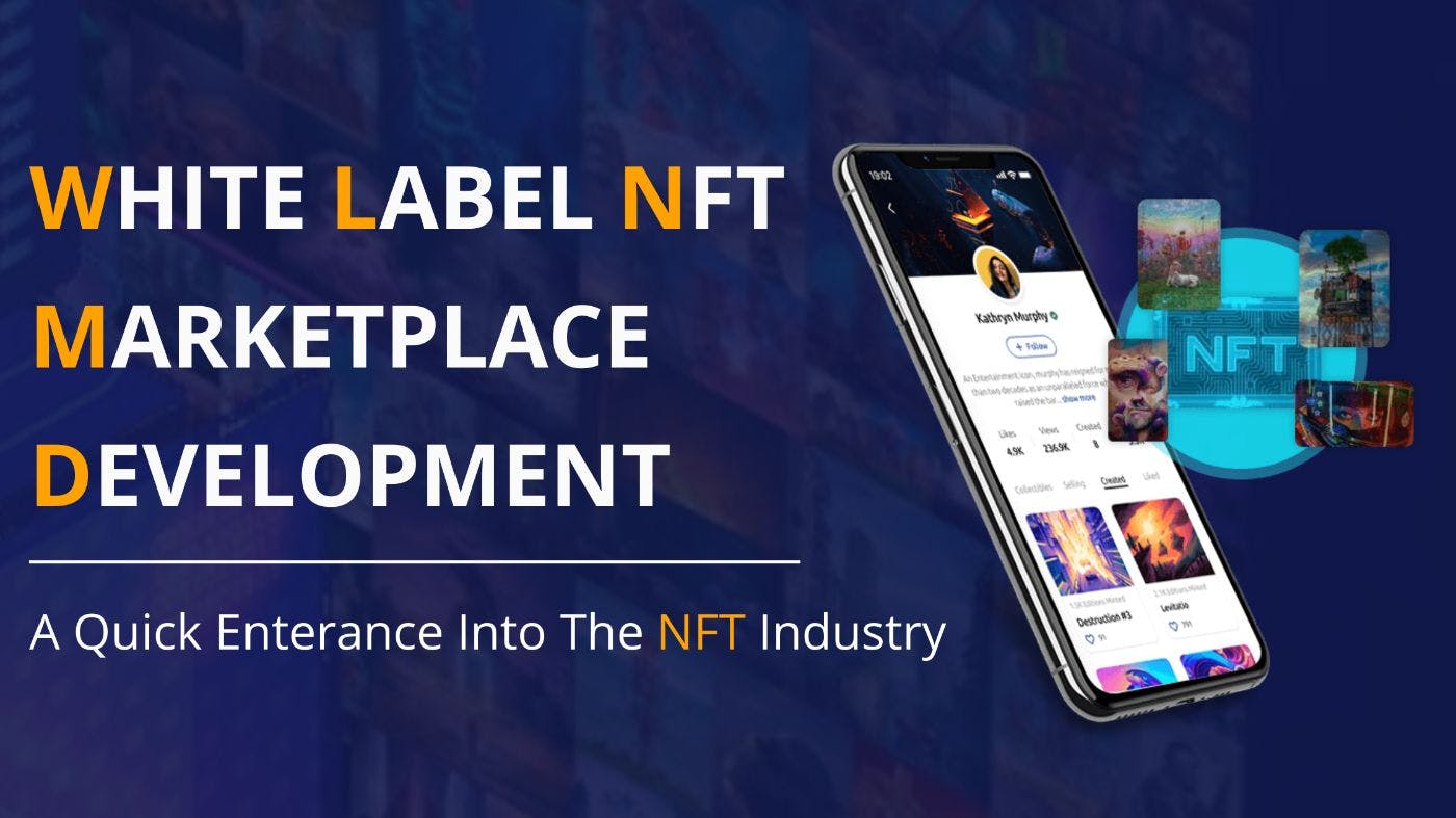 featured image - How Did The White Label NFT Marketplace Development Hype Start?