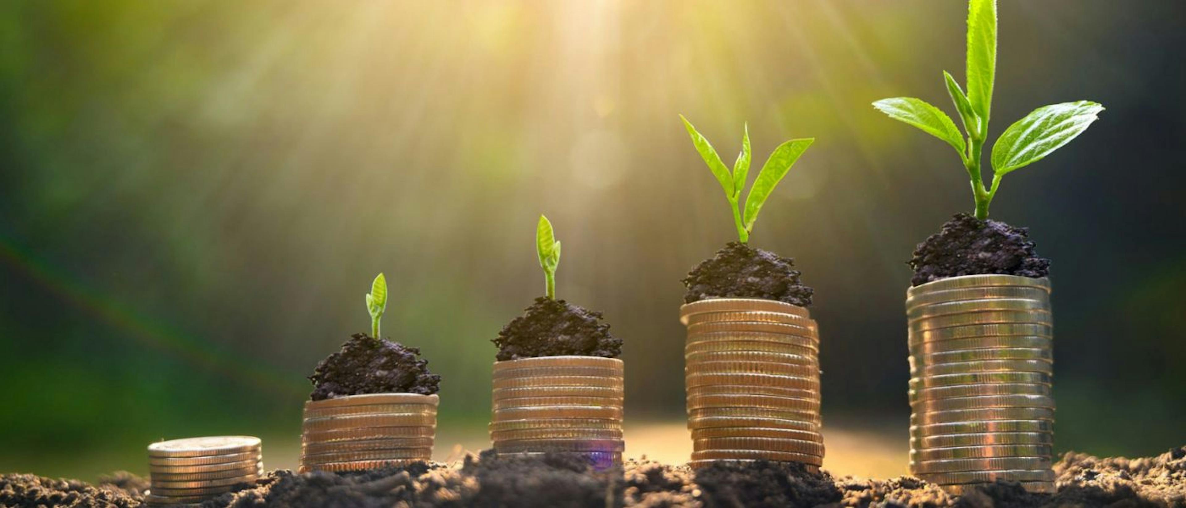 featured image - How Growth Funding Helps Businesses?