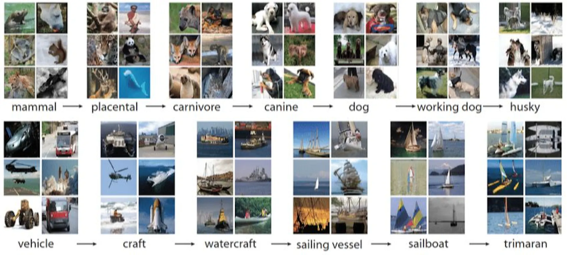 A representation of the ImageNet dataset