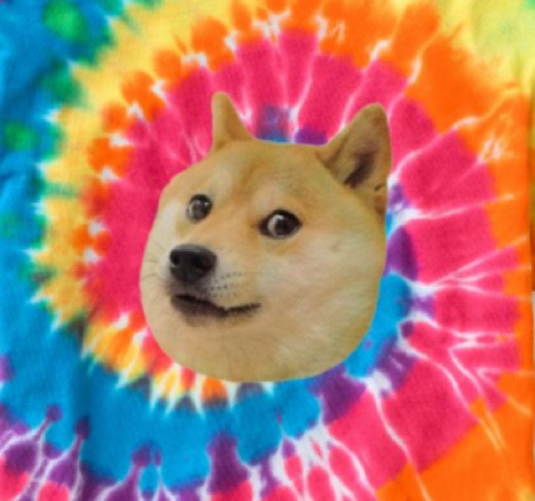 /the-summer-of-doge-umo359r feature image
