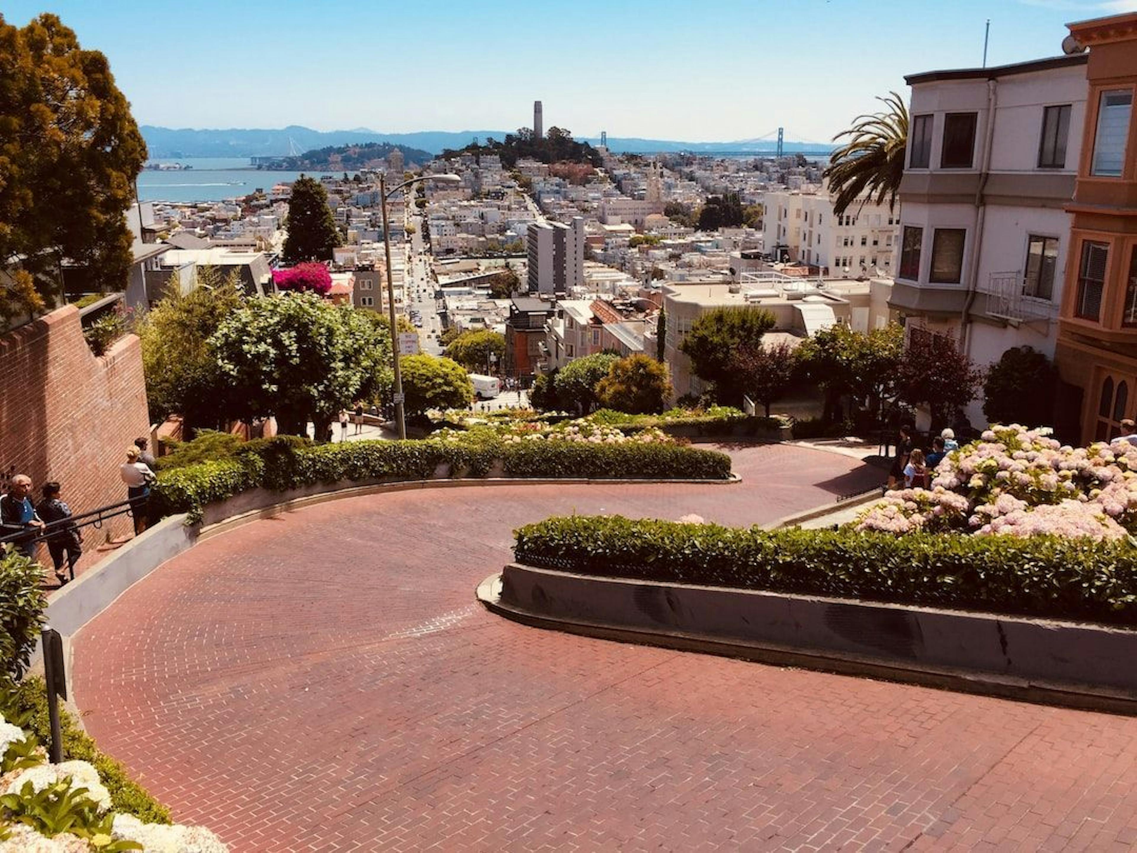 featured image - Oracle on Lombard Street: The Harrapan Revelation