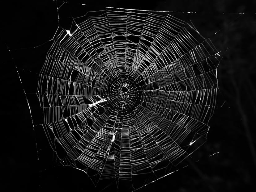 /no-code-no-life feature image