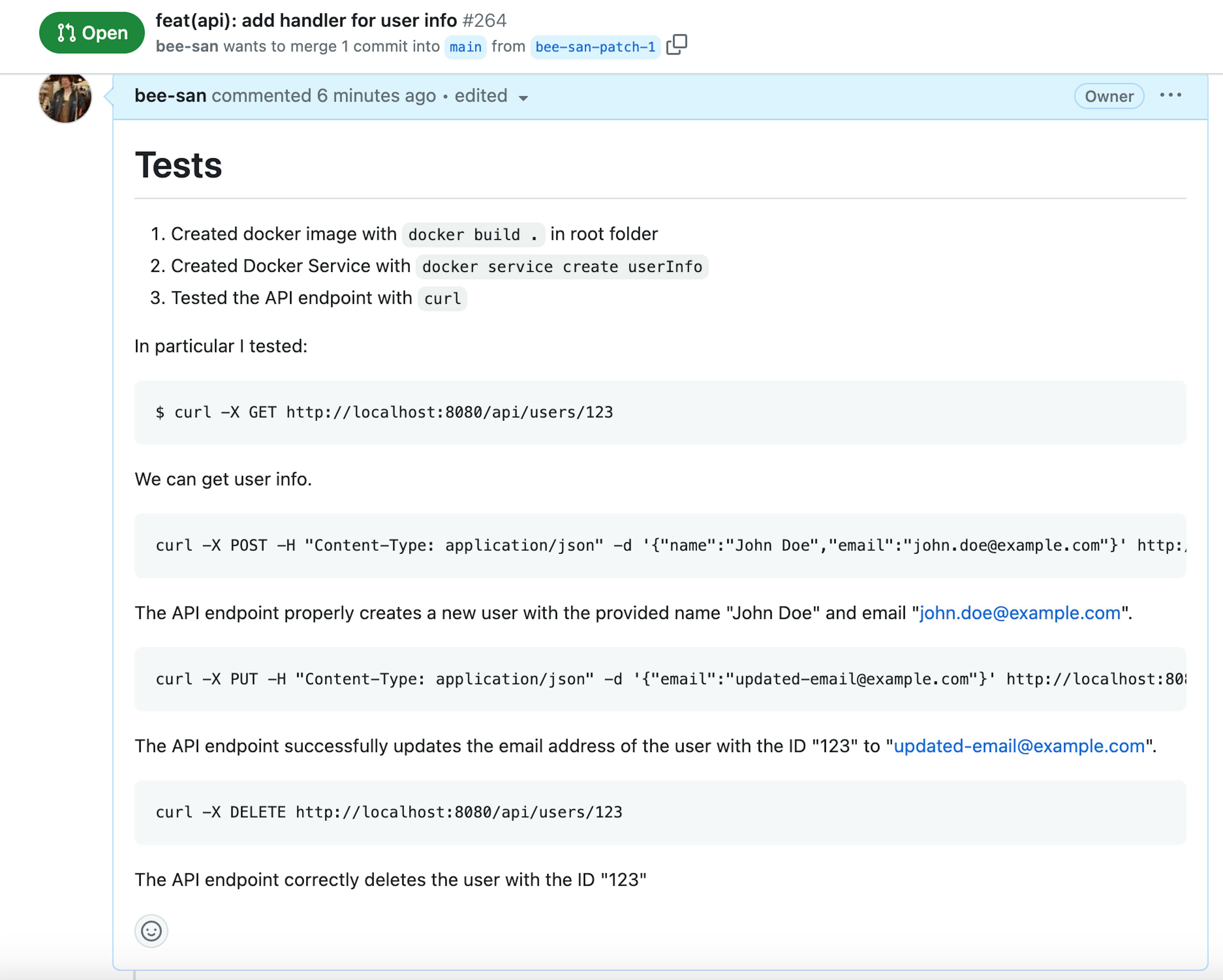Example pull request detailling a tests header with instructions on how to set up the testing environment along with curl commands that show exactly how to test the API endpoint