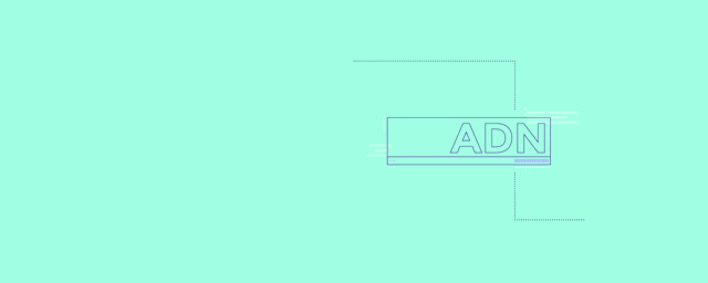 /introduction-to-adn-api-delivery-network-he2231em feature image