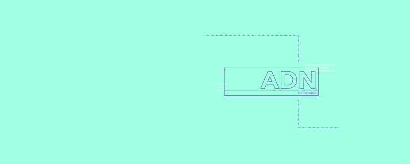 /introduction-to-adn-api-delivery-network-he2231em feature image
