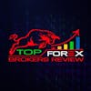 Top Forex Brokers Review HackerNoon profile picture