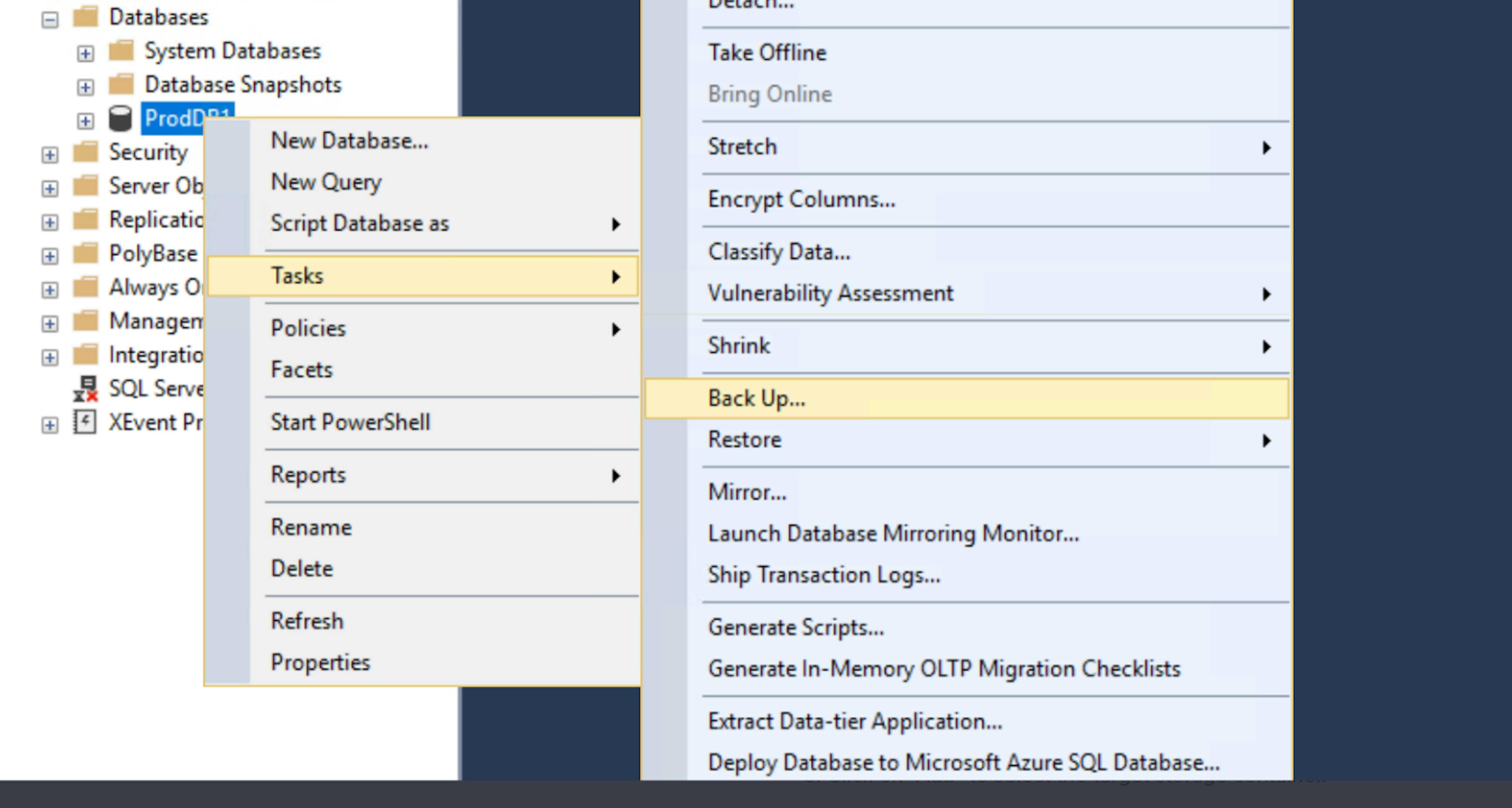 SQL server tasks backup