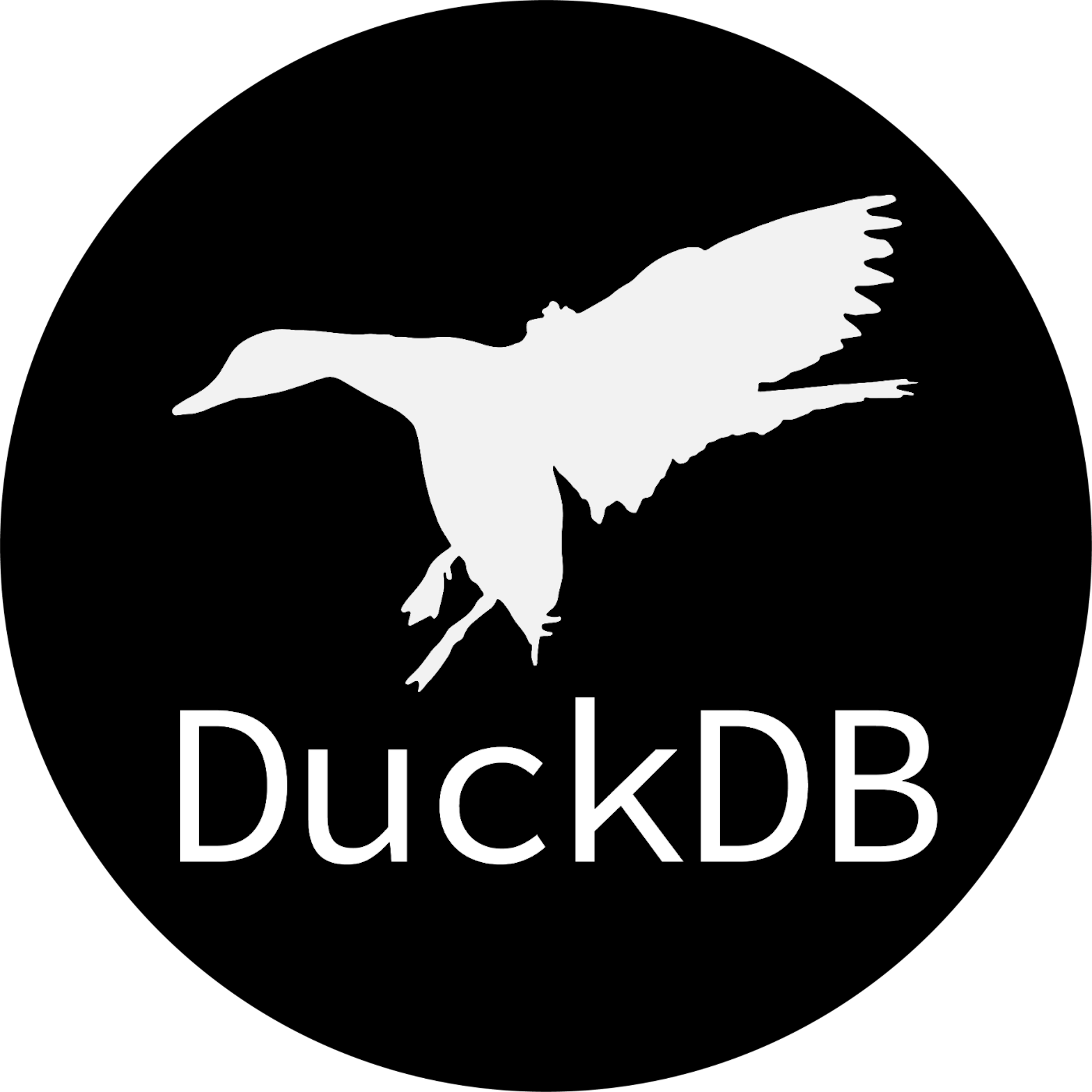/what-the-heck-is-duckdb feature image