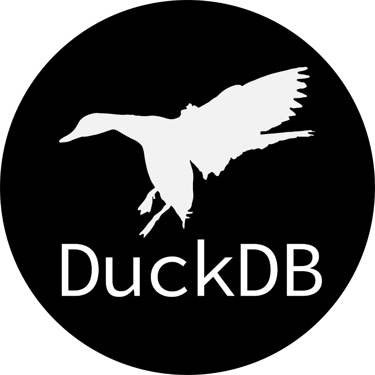 featured image - What The Heck Is DuckDB?