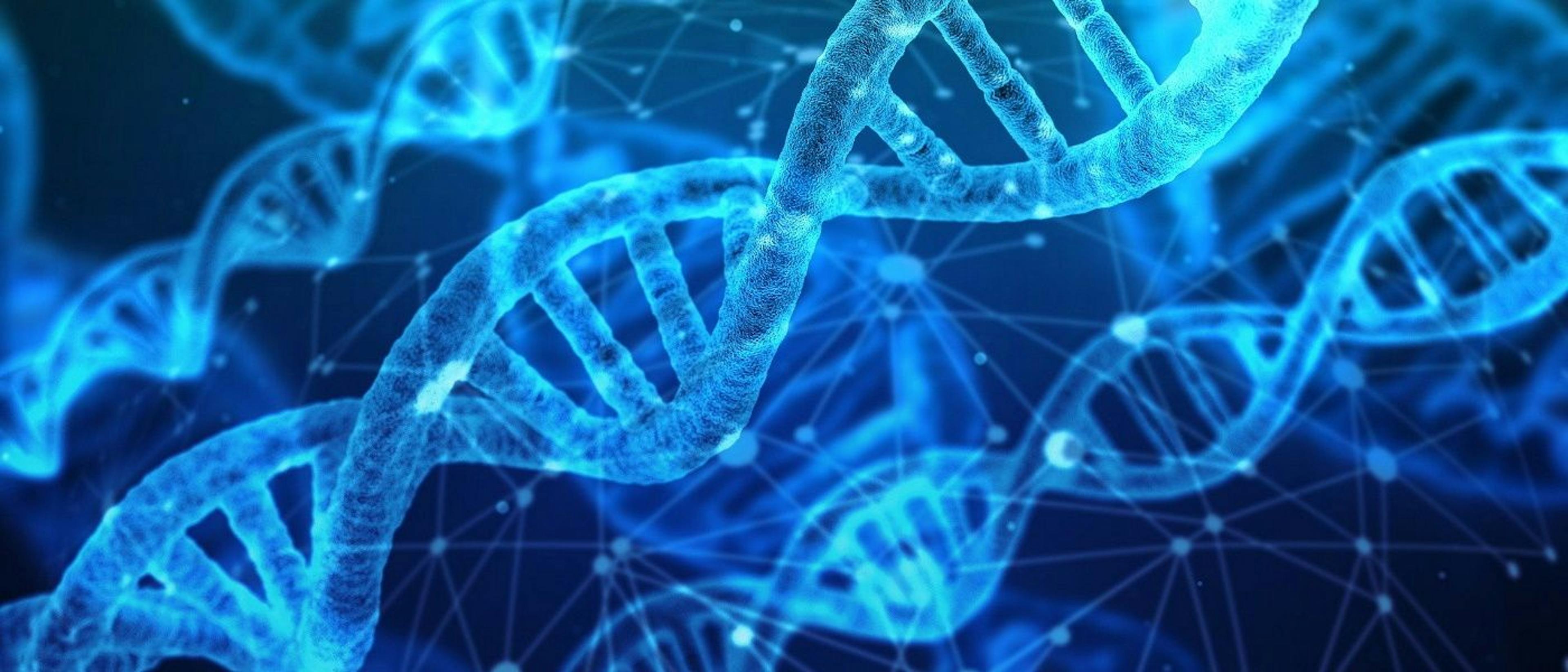 /professional-development-in-tech-steps-for-creating-a-productive-routine-2xhu31h7 feature image