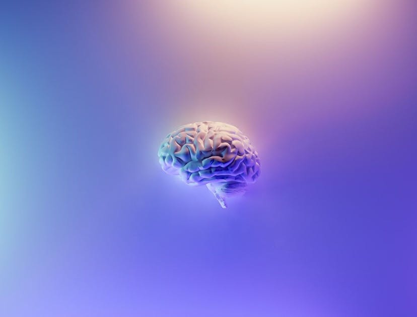 /darpa-seeks-to-modulate-rem-sleep-for-stress-and-trauma-adaptation feature image
