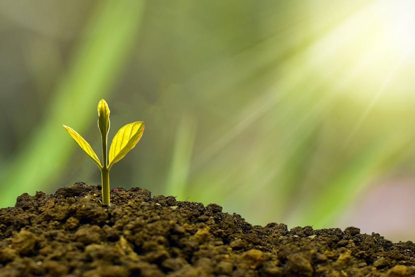 /3-growing-business-sectors-in-latin-america-in-2023 feature image
