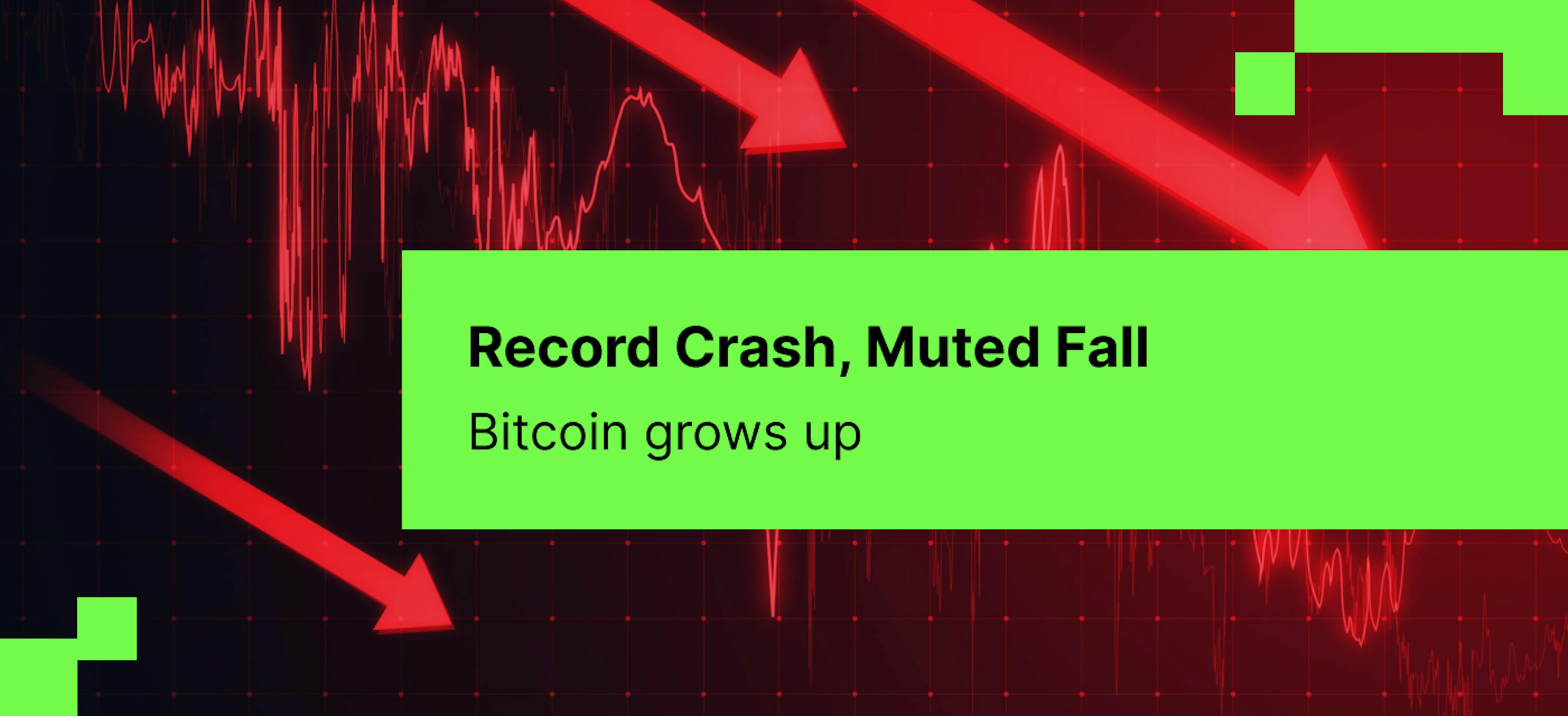 /how-a-historic-$19b-crypto-crash-highlights-bitcoins-falling-volatility feature image