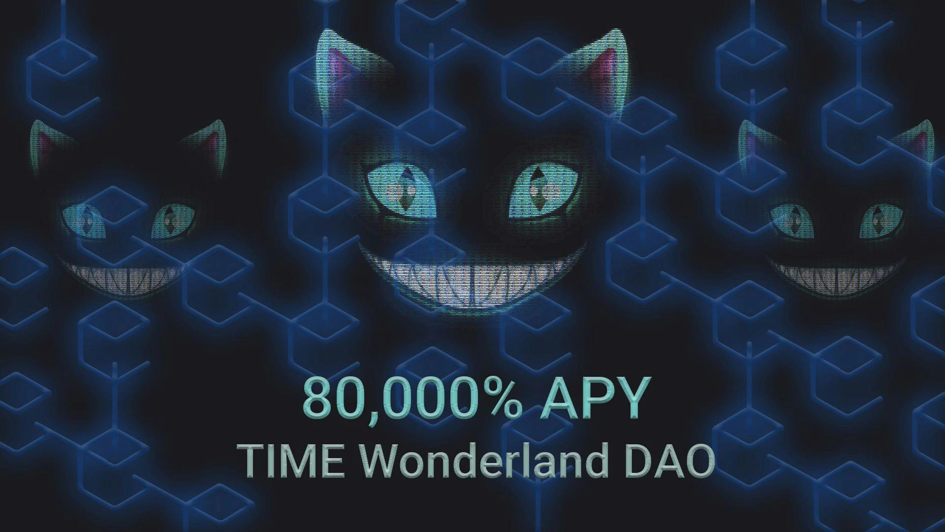 featured image - Wonderland.Money - Is Getting 80,000% APY Really Possible?