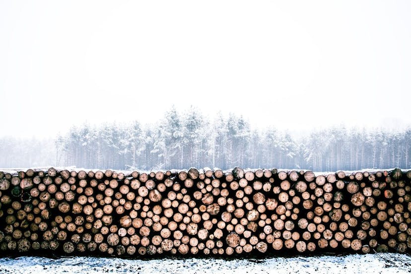 /logging-in-observability-part-1 feature image
