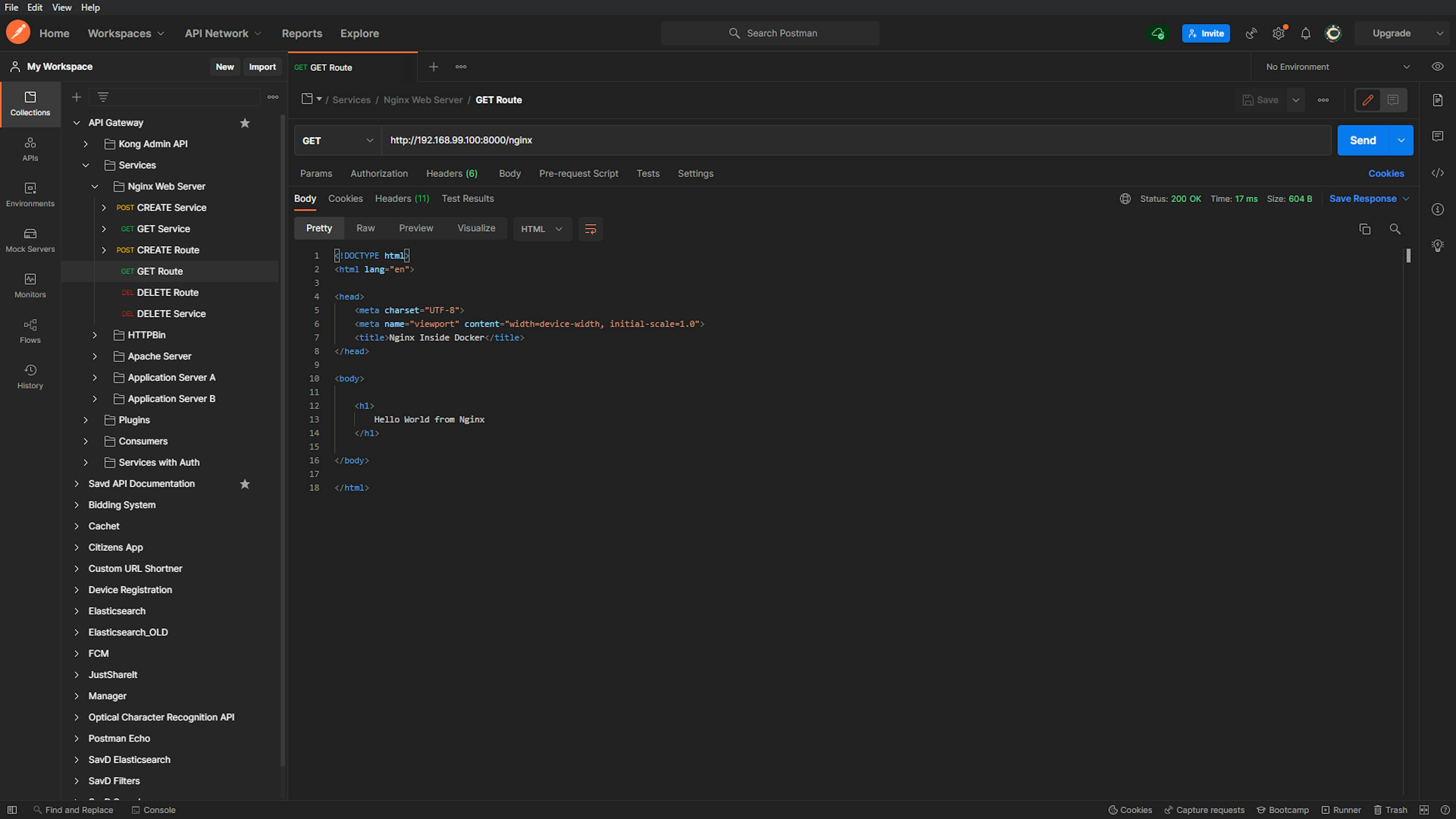 Hitting the GET /nginx route