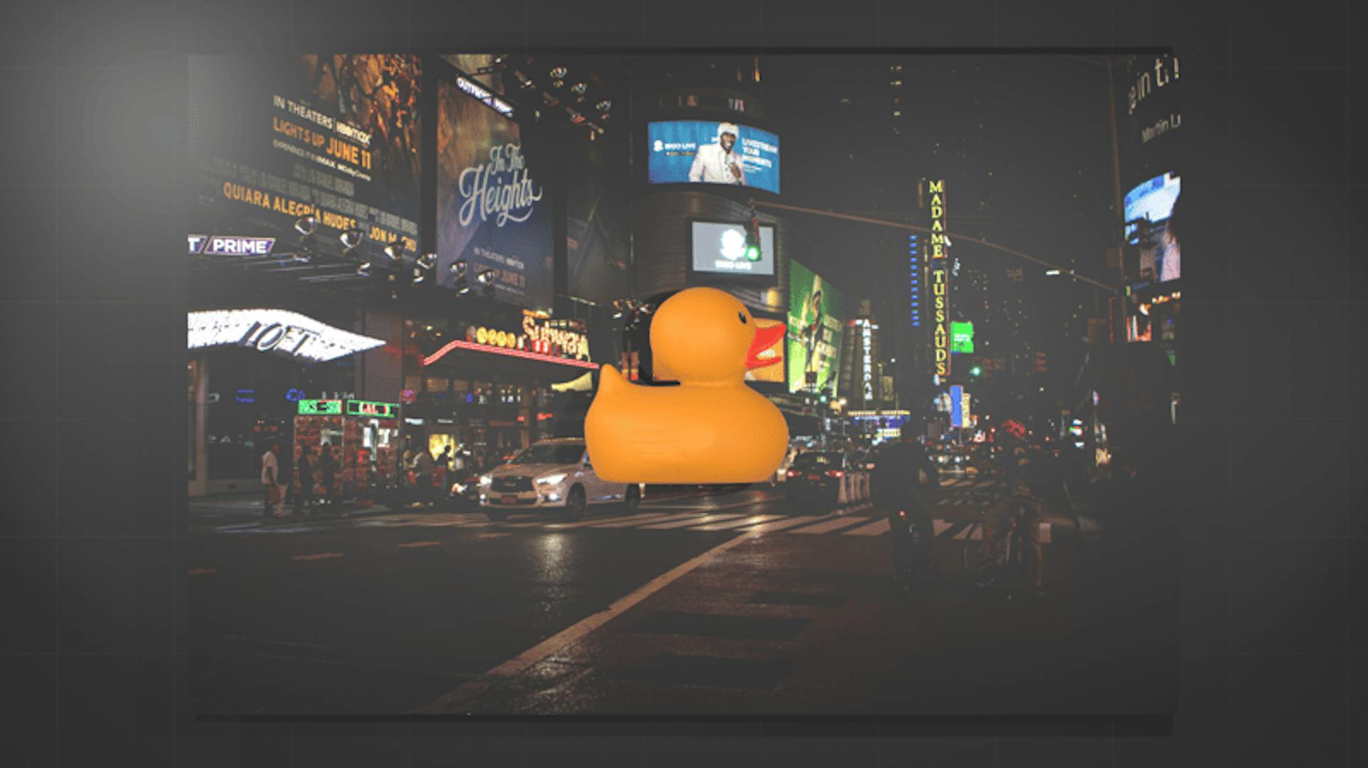 Duck in the City