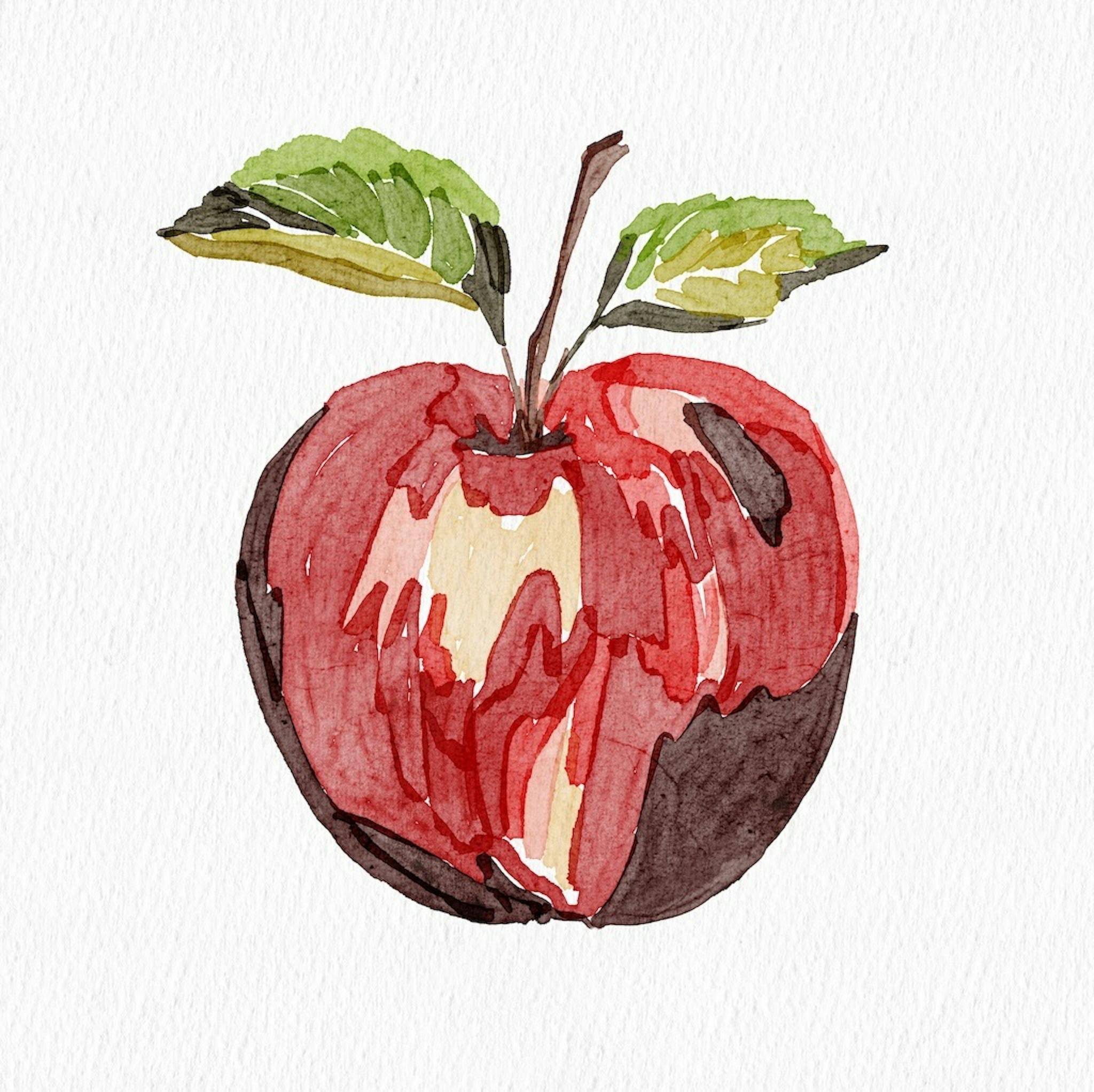 Step 3: Basic colouring. Digital illustration cerated by the author.
