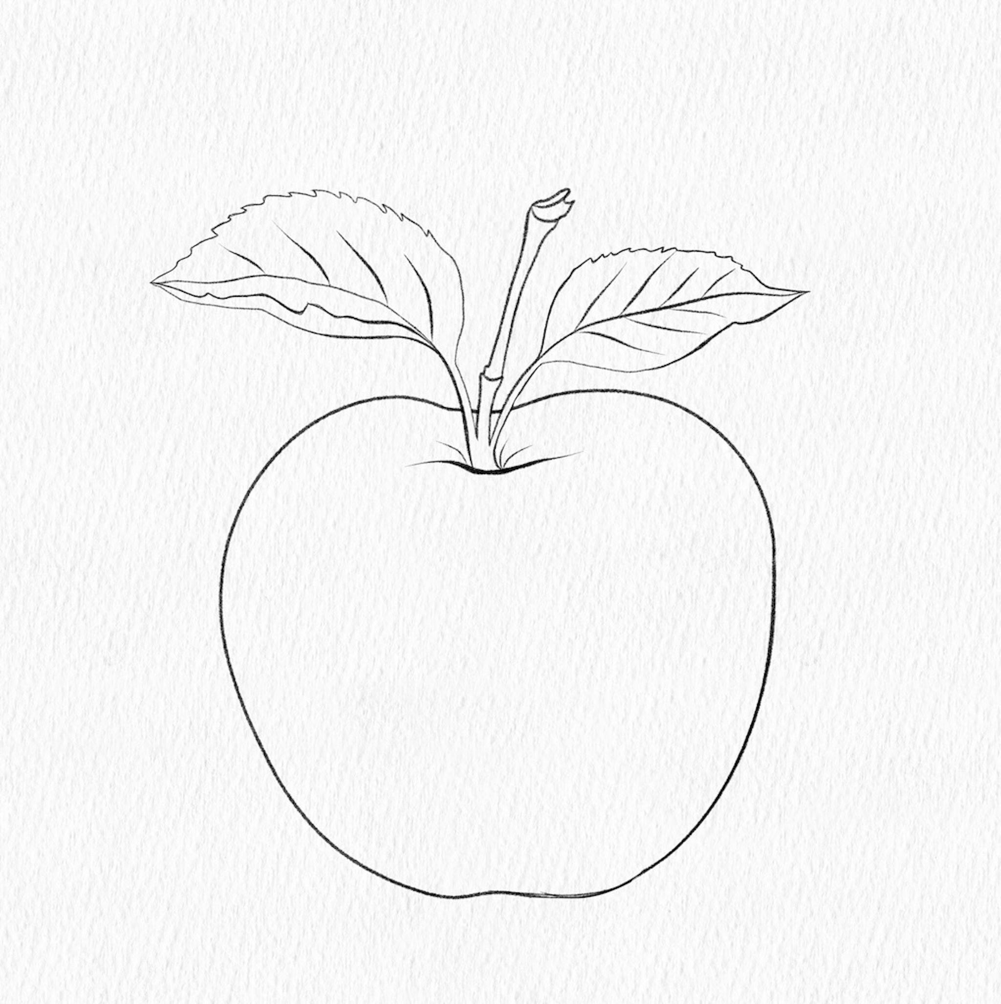 Step 2: Detailed digital sketch. Digital illustration cerated by the author.