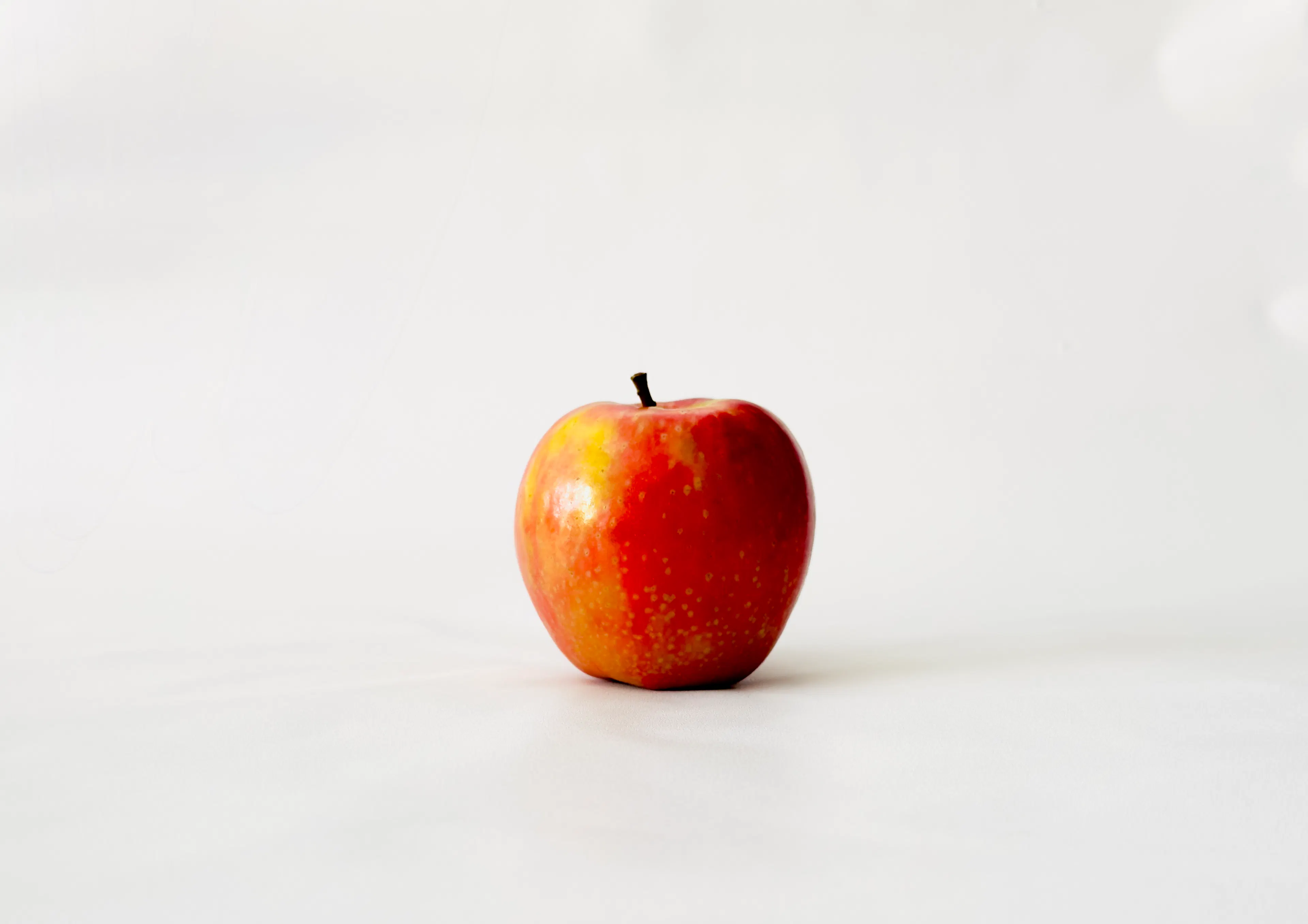Learn Repo's image-49444