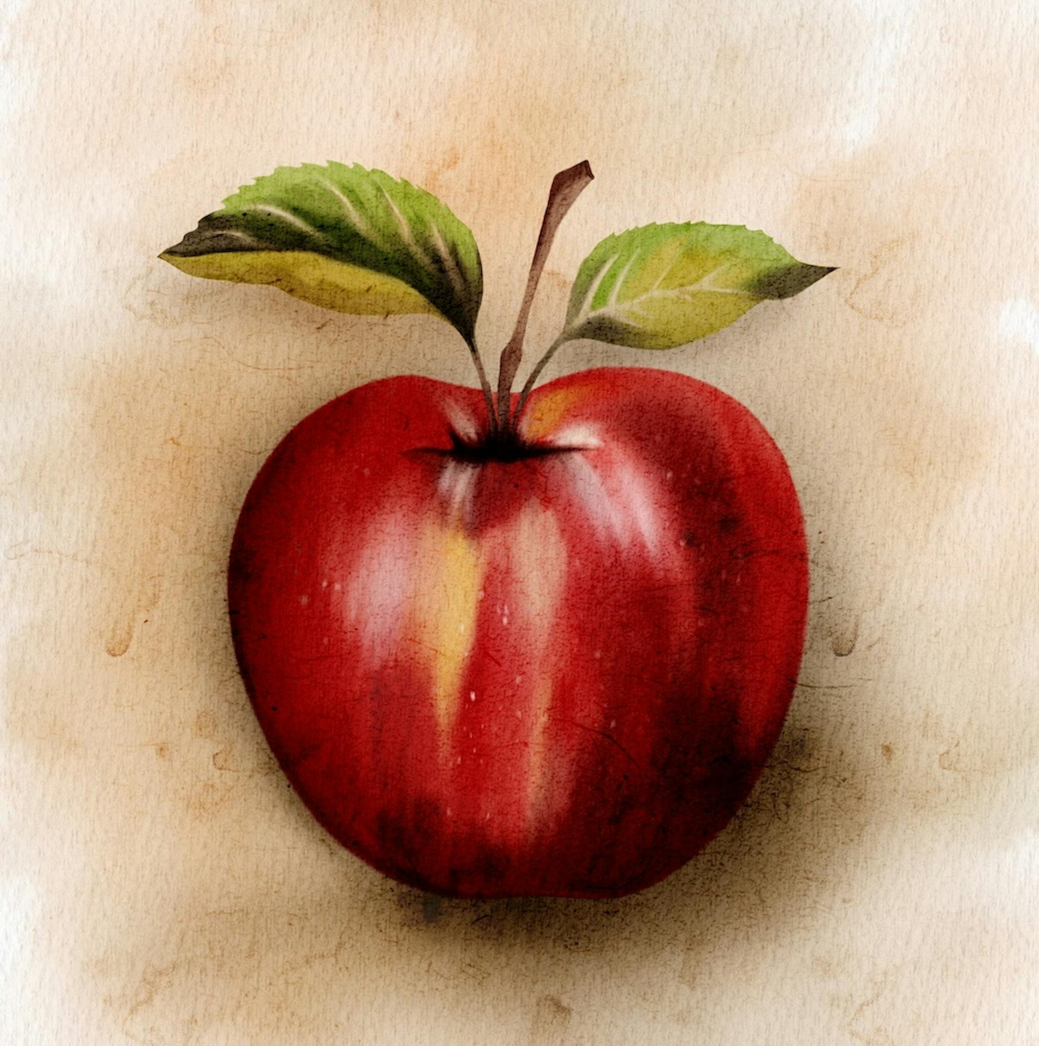 Step 4: Advanced colouring, texture and depth. Digital illustration created by the Author.