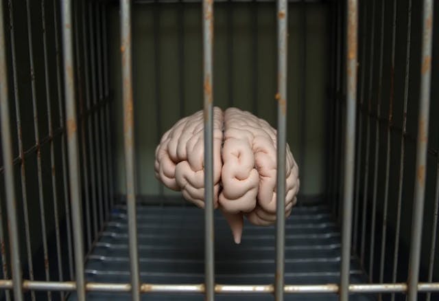/the-smart-person-trap-and-how-to-avoid-it feature image