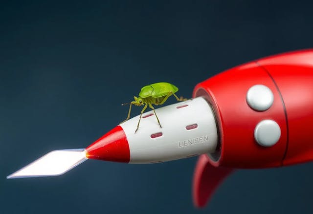 /presenting-a-general-automated-testing-approach-for-detecting-xpath-related-logic-bugs feature image