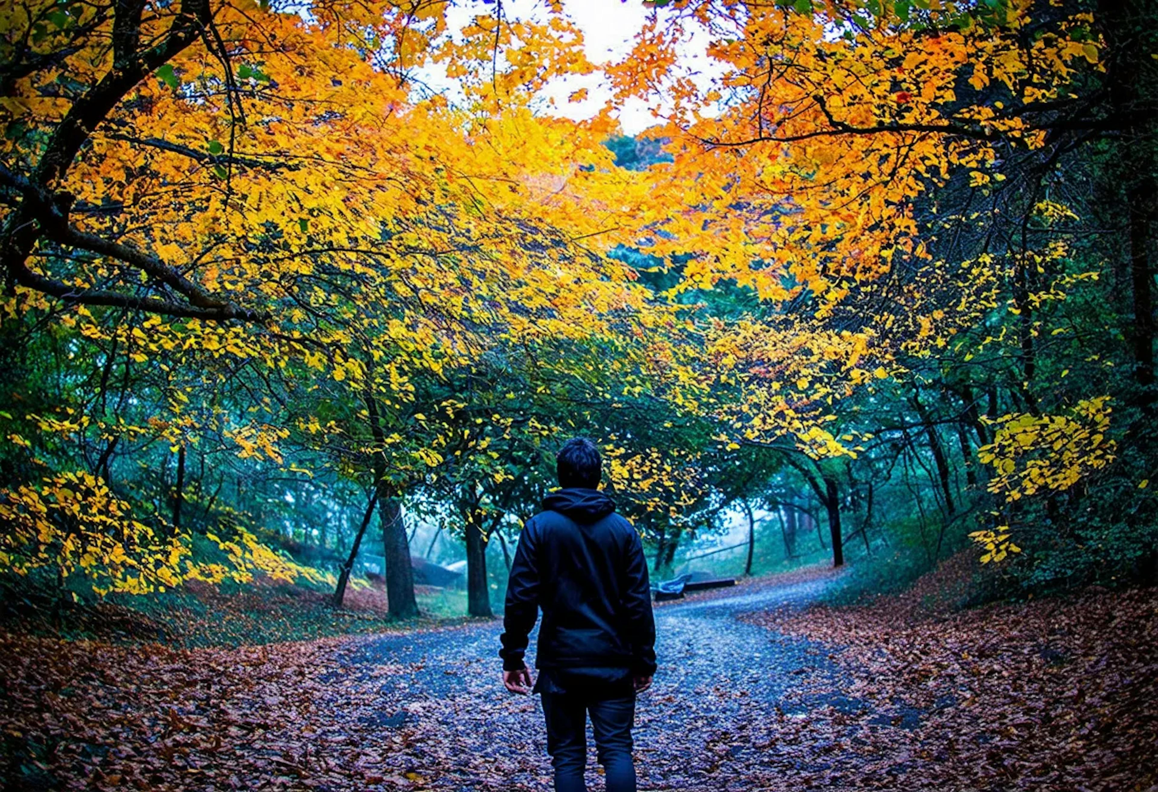 featured image - あなたの潜在意識が現実を創ります(それは驚くほど強力です)