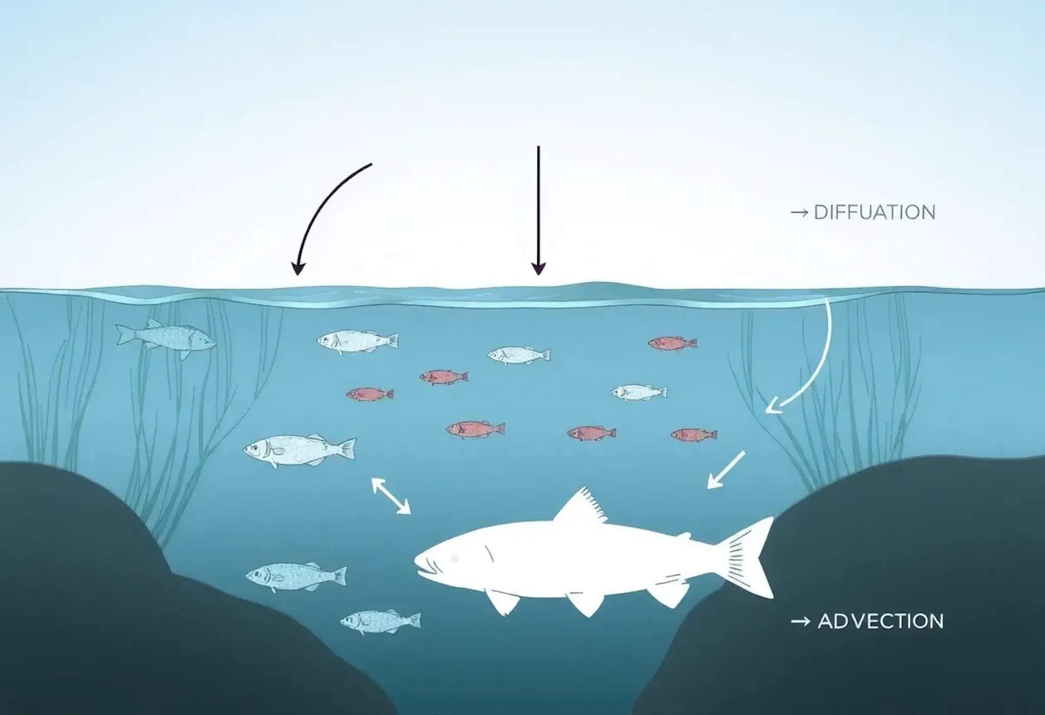 The Math Behind Persistence and Extinction in Freshwater Ecosystems ...