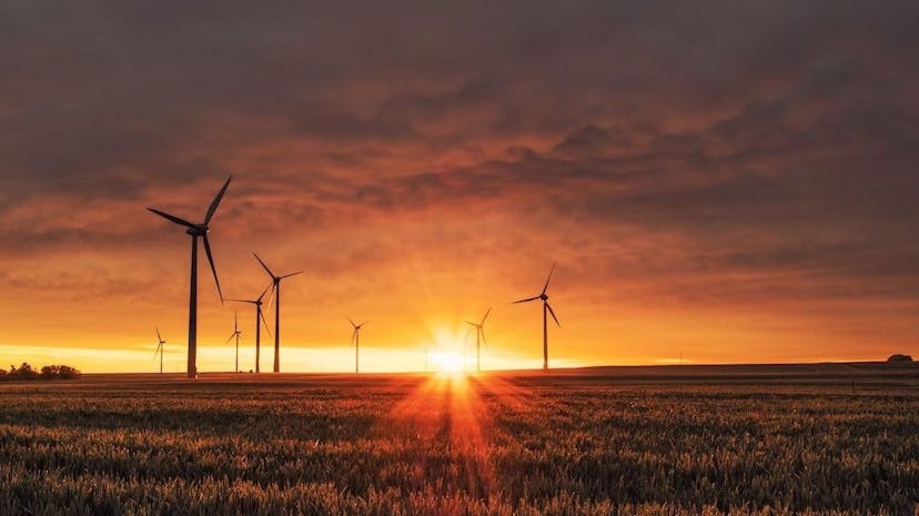 /make-your-app-or-site-carbon-neutral-in-3-steps feature image