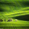 JIACHENG