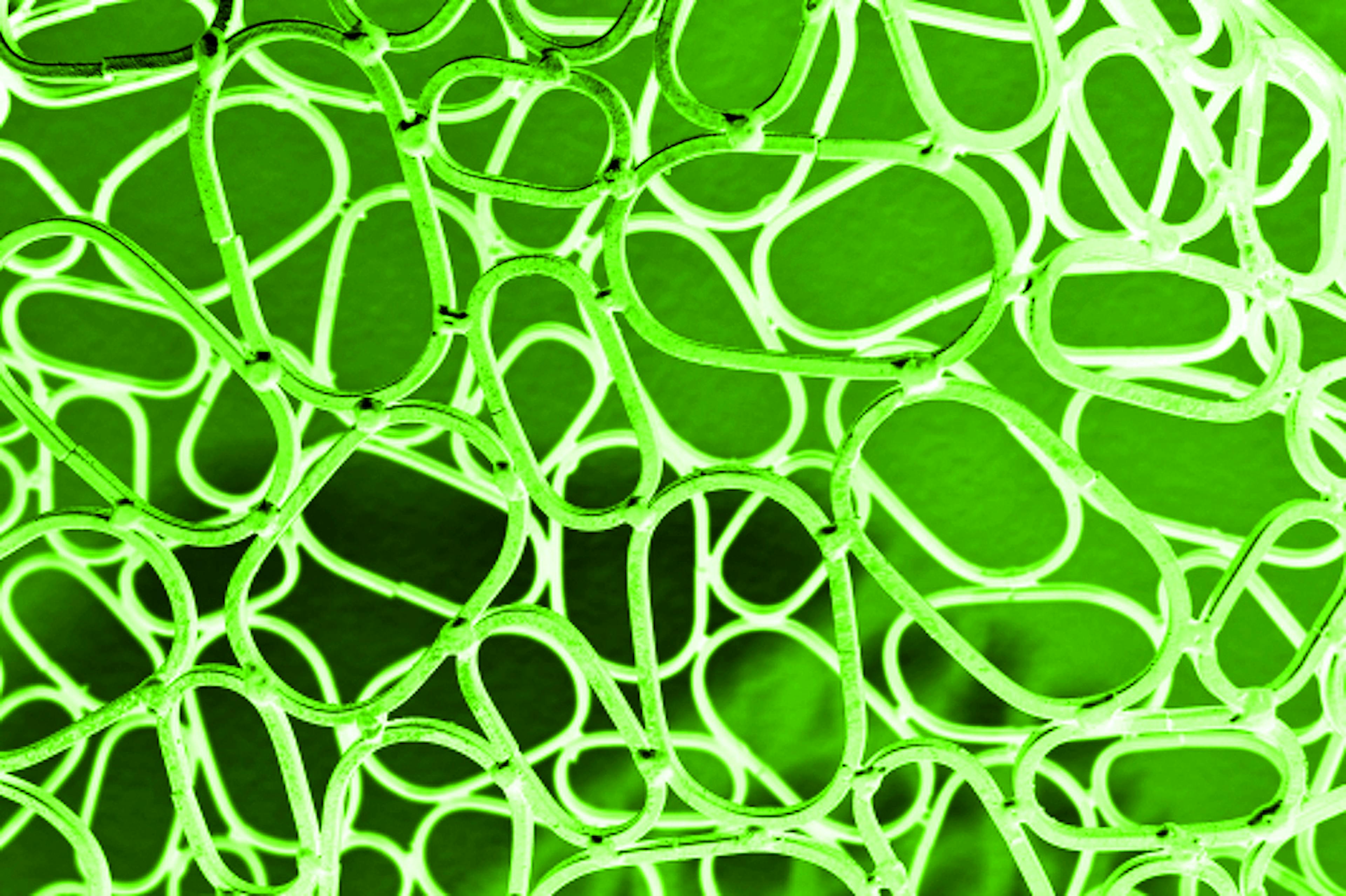 /is-layer-2-scaling-for-blockchains-living-up-to-its-promise-ok3632jy feature image