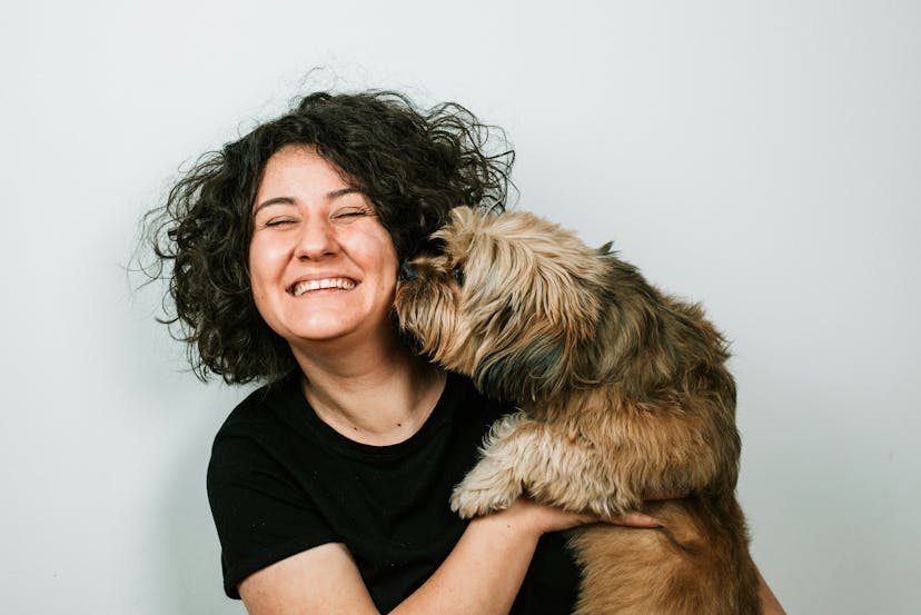 /what-pettech-taught-me-about-marketing-in-b2b2c-industries-and-what-you-can-steal feature image