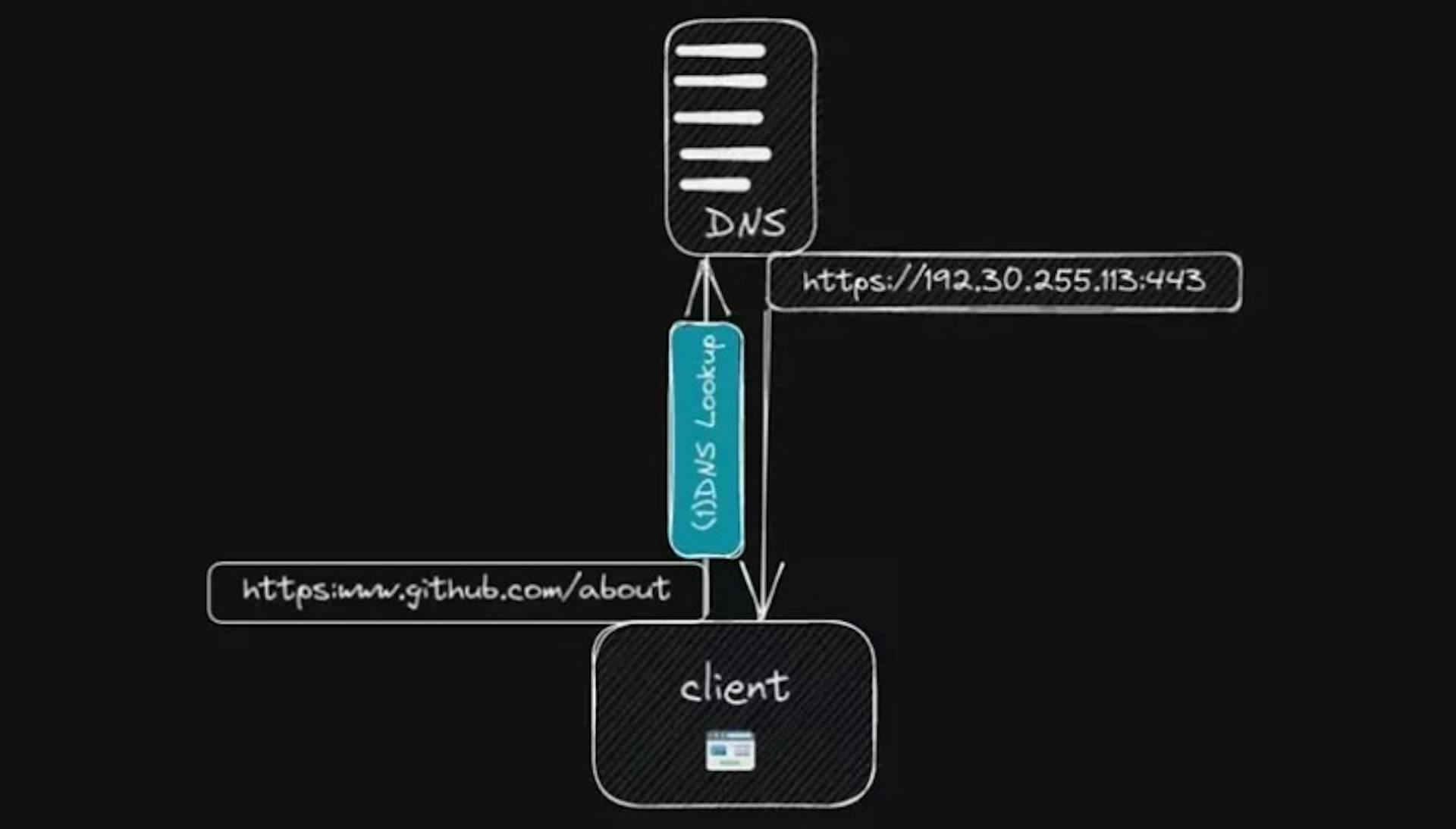 DNS Lookup