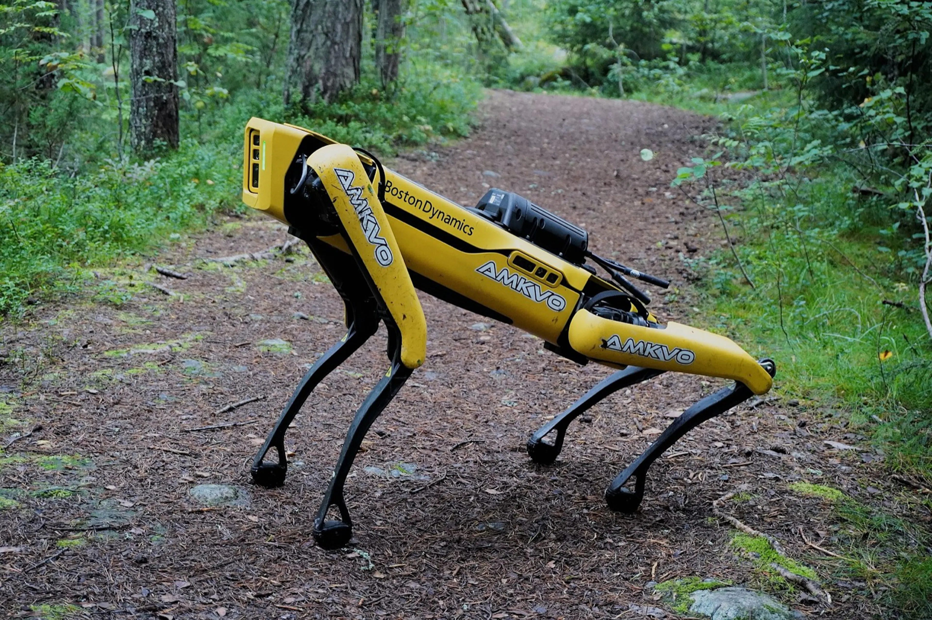 Boston Dynamics' Spot, a quadruped built for terrain wheels can't handle. The future is likely hybrid, not humanoid.