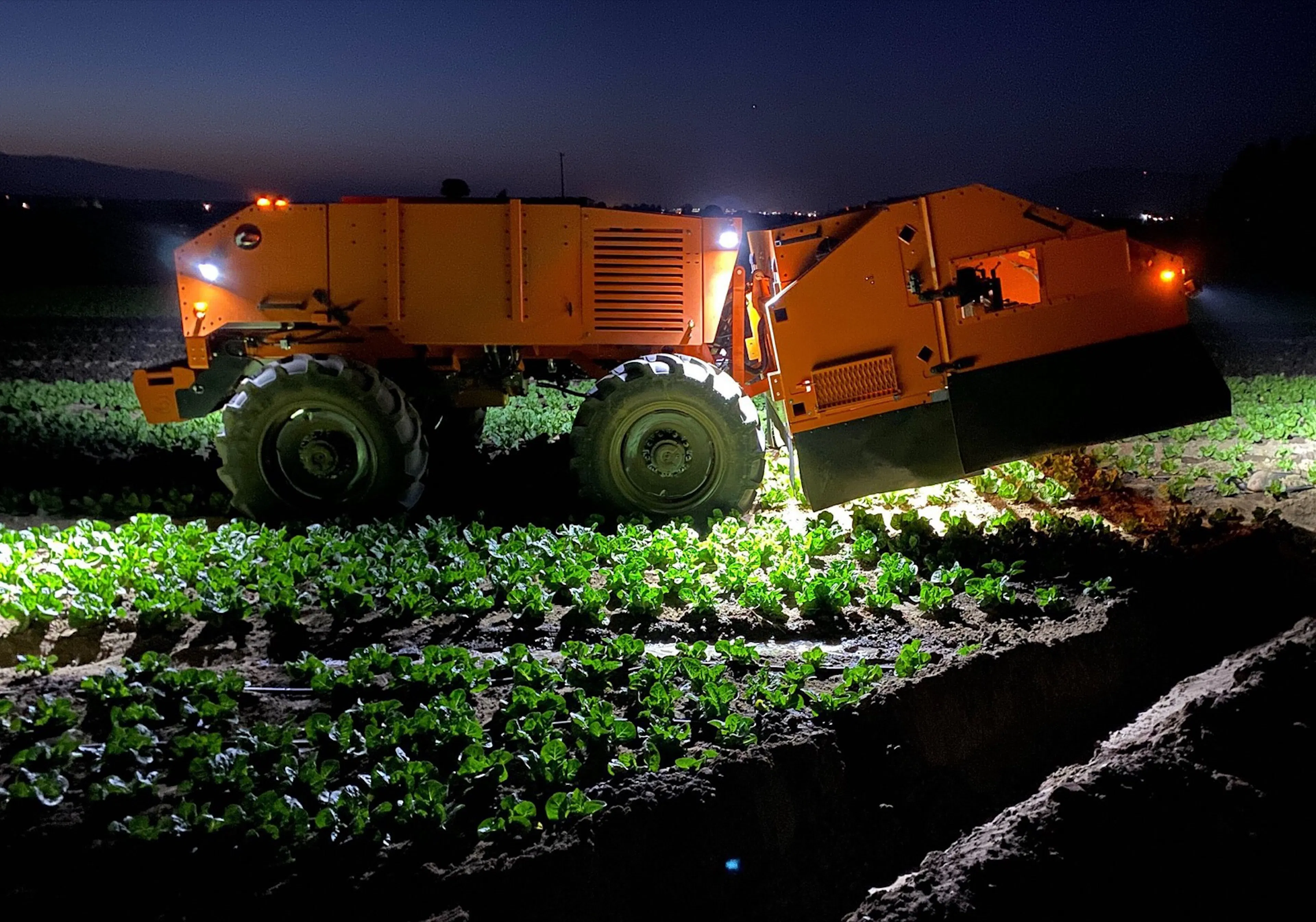 An autonomous weeding robot working rows of leafy greens at night, its floodlights illuminating the crop.