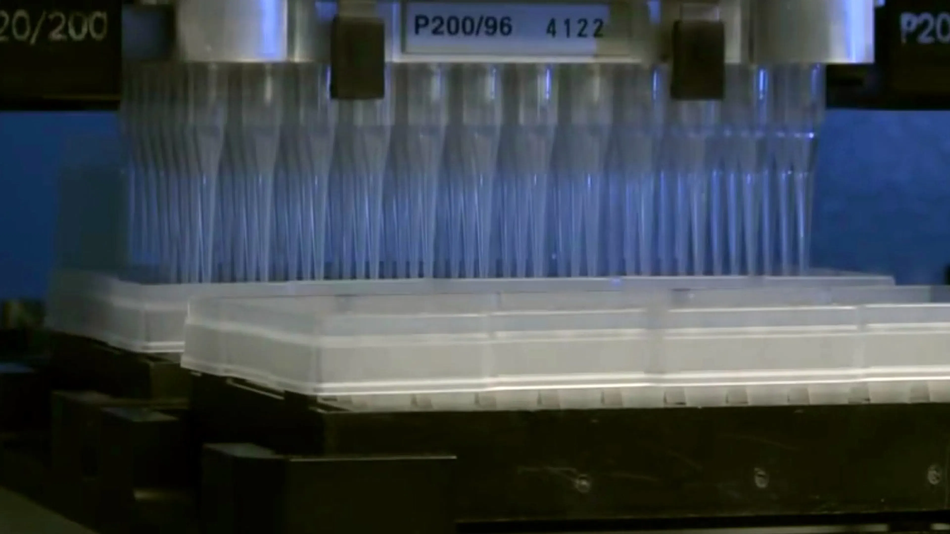 A 96-tip robotic pipetting head dispensing compounds into microplate wells