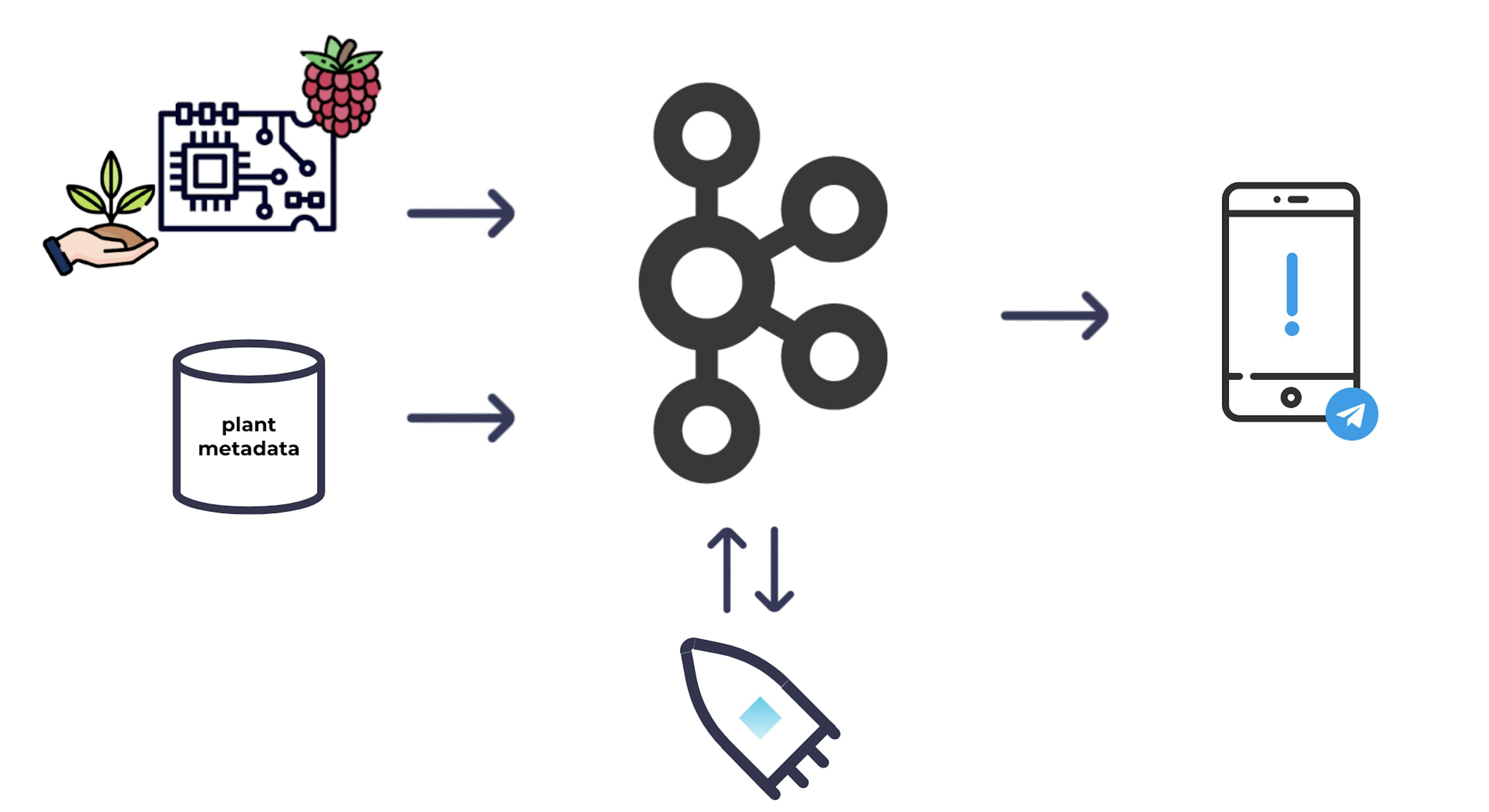 High-level architecture of the plant monitoring system starting with the Raspberry Pi to collect data, somewhere to store plant metadata, Kafka and ksqlDB to transform the raw data, and an output alert.