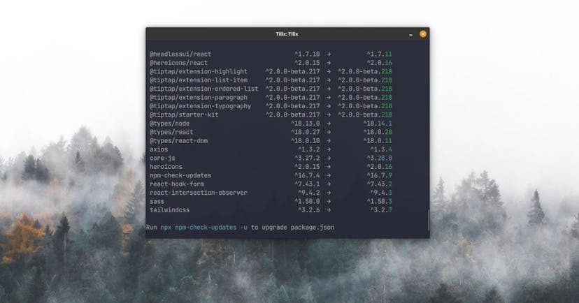 /the-developers-guide-to-updating-npm-packages feature image