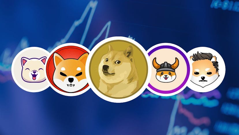 /dont-fall-for-the-hype-in-cryptocurrencies feature image